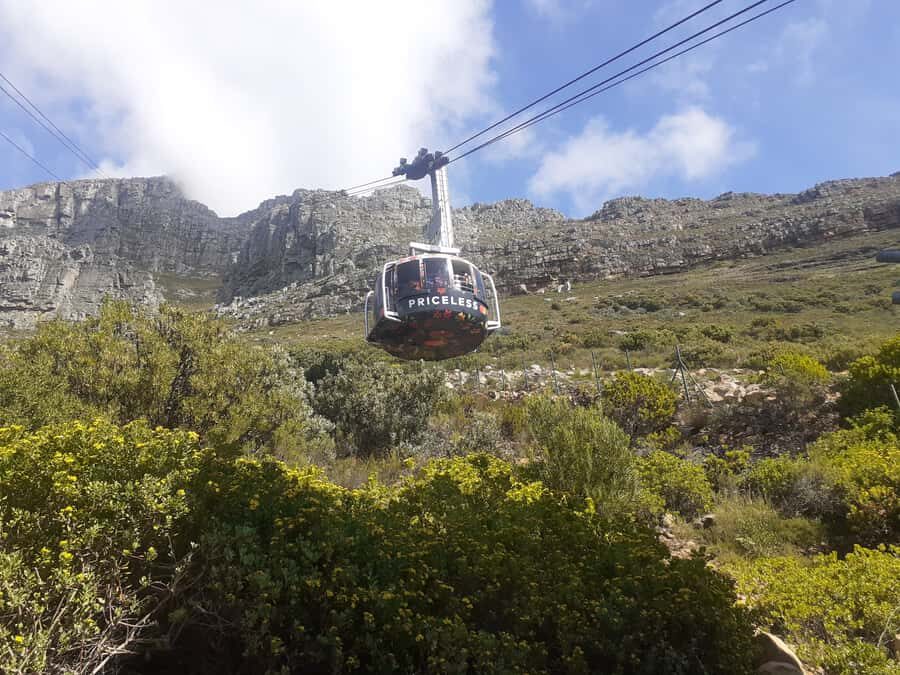 Robben Island, Table Mountain & Kirstenbosch, From Cape Town - The extra stops that make this day feel Cape Town, not just a checklist