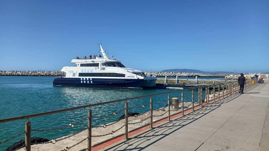 Robben Island, Table Mountain & Kirstenbosch, From Cape Town - Getting the timing right: how the day moves and what you should do