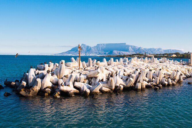 Robben Island Tour; Pickup, Drop-off; Guided Tour Historic Prison - Quick hits before you go
