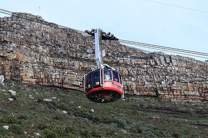 Robben Island Tour & Table Mountain guided Tour - Guides, Groups, and the Human Side of the Day