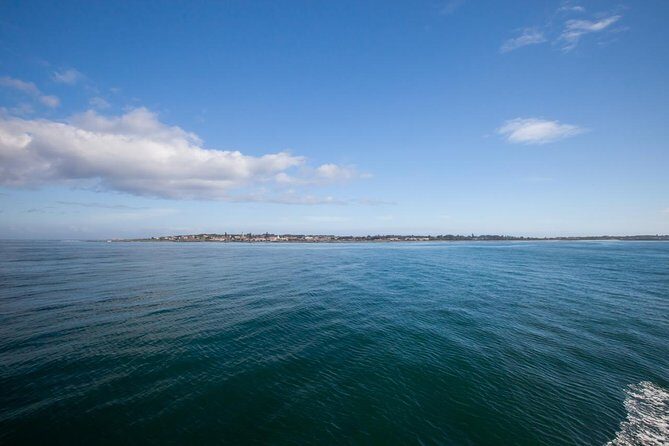Robben Island tour with additional stops at famous spots!! - How the Pre-Island Stop Works (Cape Town Central + Museum Time)