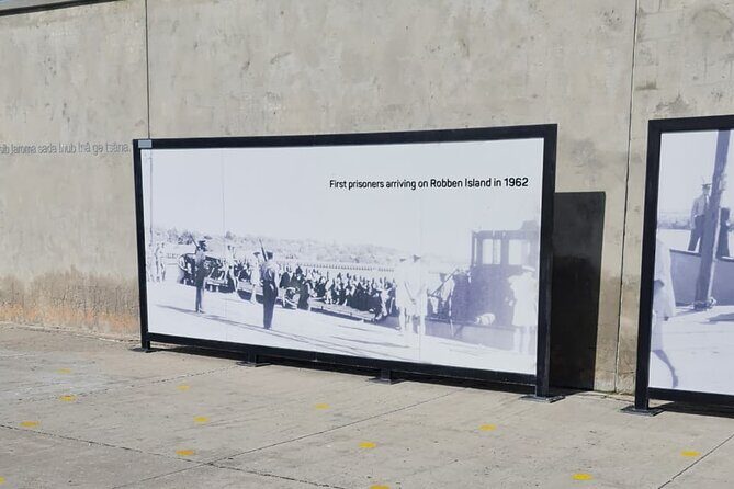 ROBBEN ISLAND with Pre-Booked Tickets Half day tour - Price and value: is $69.26 worth it?