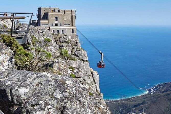 Robben Island with Tickets & Iconic Table Mountain Full Day Tour - Should you book this Robben Island and Table Mountain full-day tour?