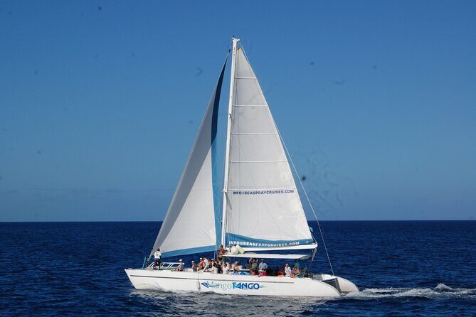 Rodney Bay to Soufriere Catamaran Transfer - Who This Catamaran Transfer Fits Best (and Who Might Reconsider)