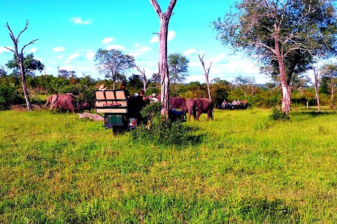 Sabi Sand Sunset Safari - How Long It Takes and What Your Evening Will Feel Like