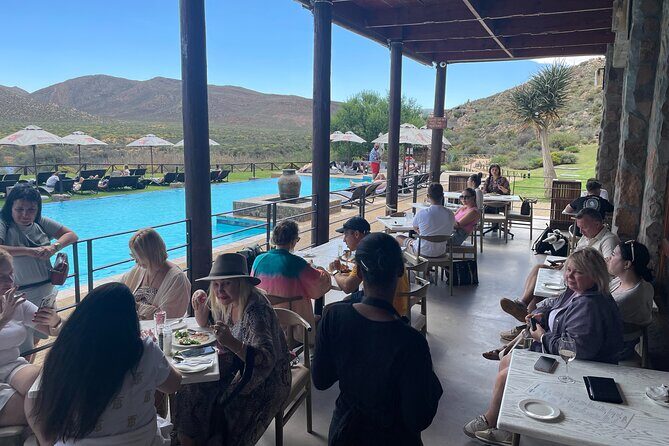 SAFARI Aquila Game Reserve - Round trip + Lunch incl. (Cape Town) - The Open Safari Vehicle Game Drive: How to Get the Best Seat for Photos