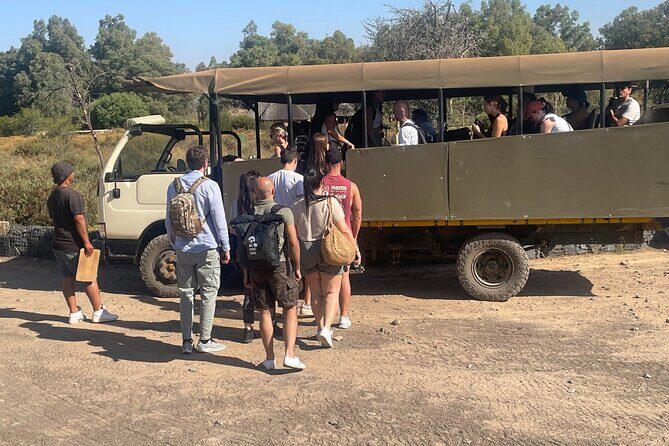 SAFARI Aquila Game Reserve - Round trip + Lunch incl. (Cape Town) - Who Should Book This Aquila Sunset Safari (and Who Might Hesitate)