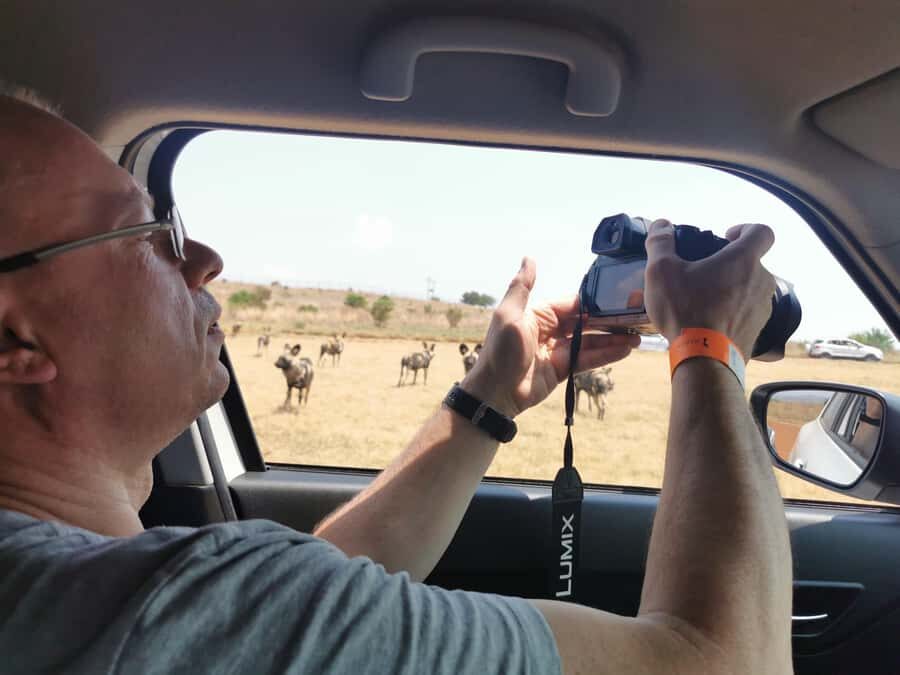 Safari at Lion and Rhino Park / Lesedi Culture Village - Key highlights at a glance