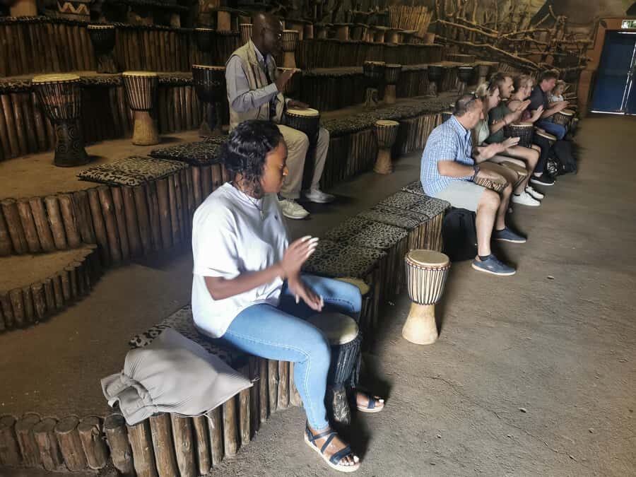 Safari at Lion and Rhino Park / Lesedi Culture Village - Timing and what to expect from a 6-hour day