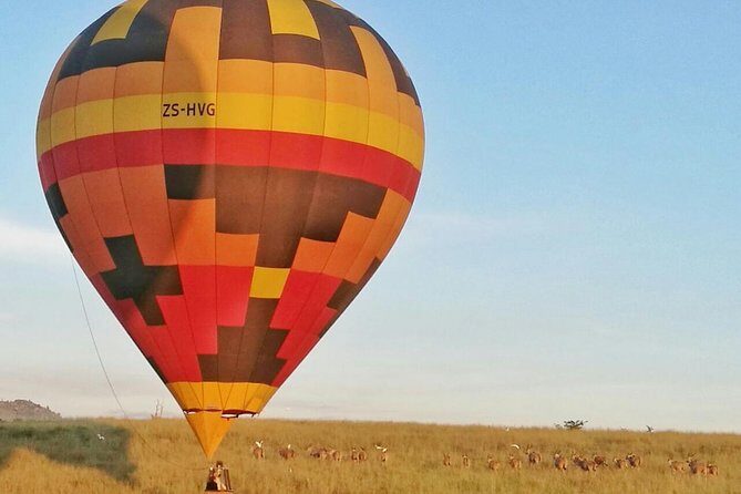 Safari Flight - Key highlights