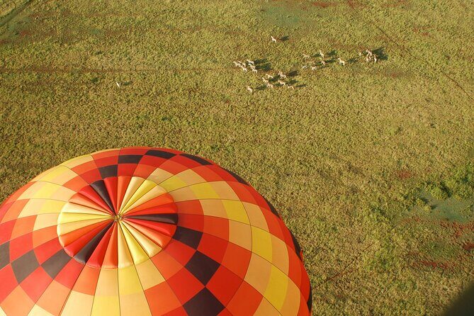 Safari Flight - The Morning Flow: From Kloofzicht Lodge & Spa to a Smooth 1-Hour Flight