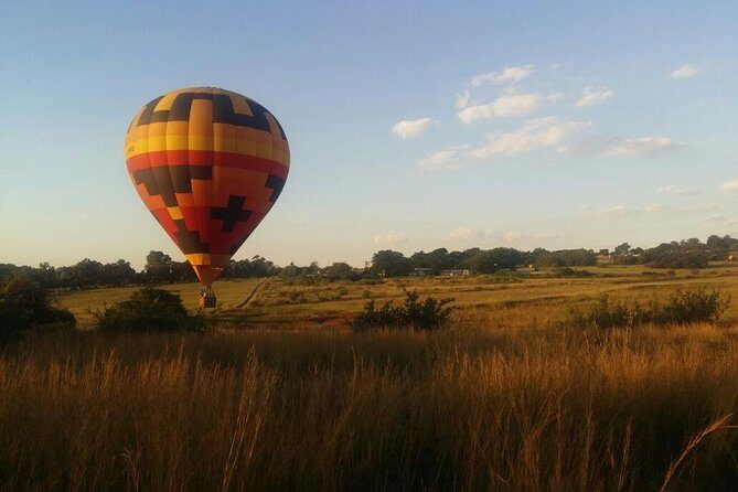 Safari Flight - Wildlife Viewing From Above: What You Can Actually Expect to Spot