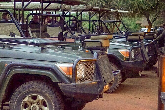 Safari Game Drive: Dinokeng Game Reserve - Key highlights worth knowing