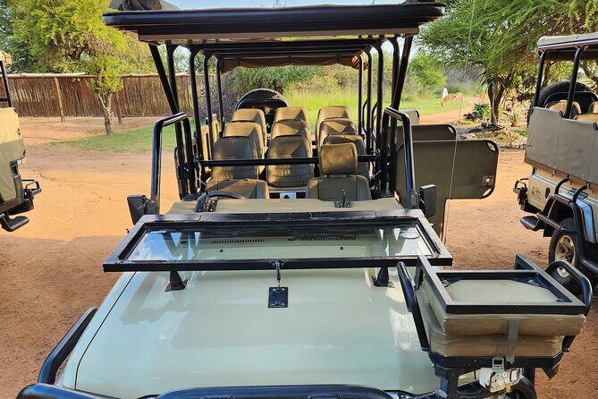 Safari Game Drive: Dinokeng Game Reserve - Snacks, comfort, and the small stuff that keeps the day easy