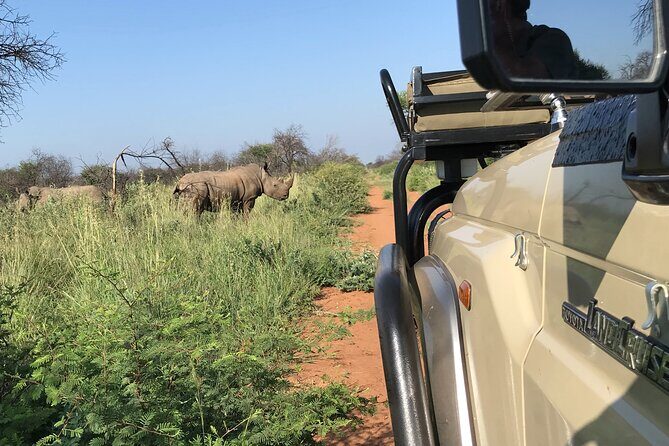 Safari Game Drive: Dinokeng Game Reserve - The 4WD truck setup: why open viewing changes everything