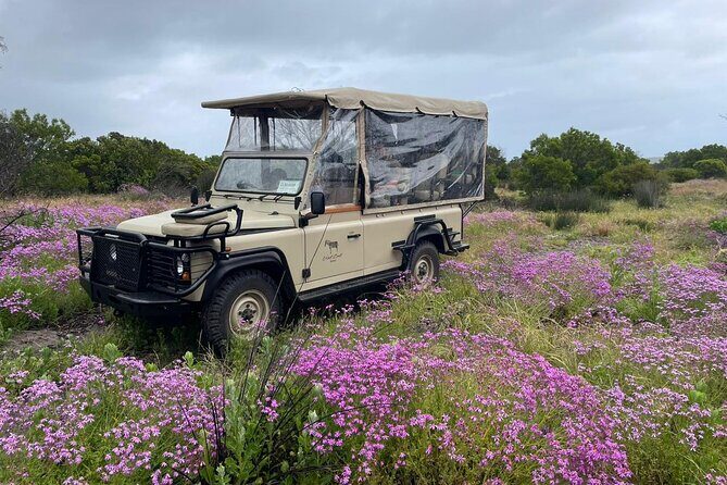 Safari Game Drive - Yzerfontein - The coffee or tea break near salt pans is more than a pause