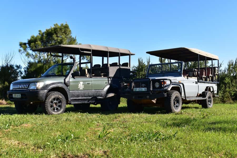 Safari into Schotia Full Day Tour - Why this safari feels like more than a ride