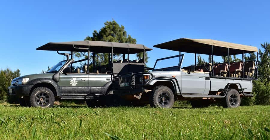 Safari into Schotia Half Day Tour - Your Ranger Guide: English/Afrikaans and the Difference Between Hearing and Learning