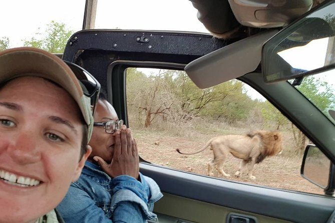 Safaris in Kruger National Park Full Day - Key things I’d mark before you go
