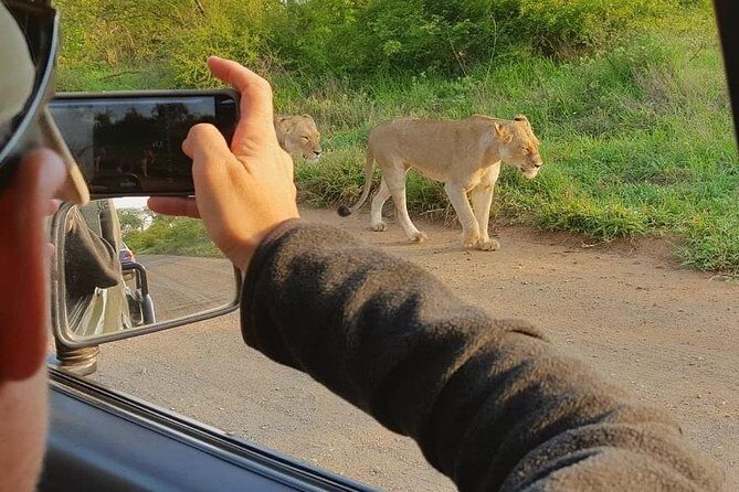 Safaris in Kruger National Park Full Day - What about Big Five hopes, and what to do with the uncertainty