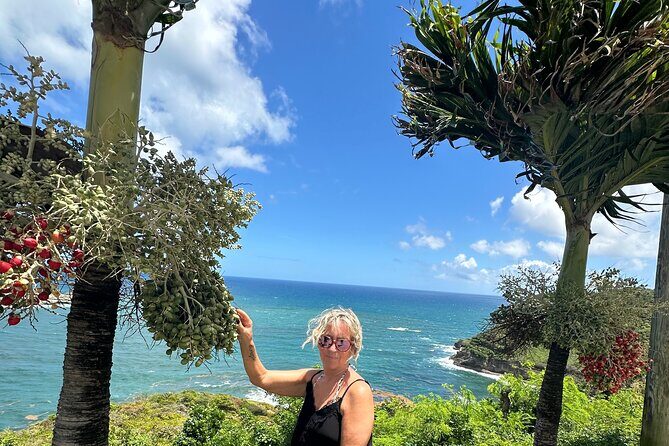 Saint Lucia Beach Tour with Free Entry - Best fit: who this tour suits best