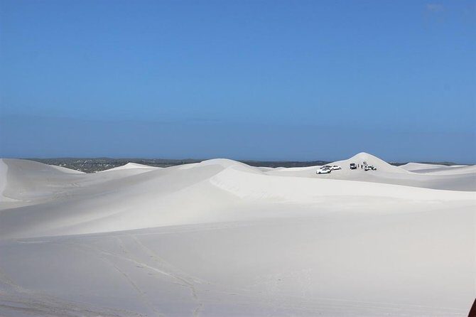 Sandboarding and Quad Biking Combo from Cape Town - Quad Bike Time: Riding the Dunes at Your Own Speed