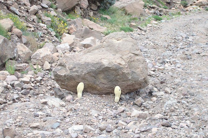 Sani Pass and Lesotho Day Tour from Underberg - What you pay for (and how to judge the $72.75 value fairly)