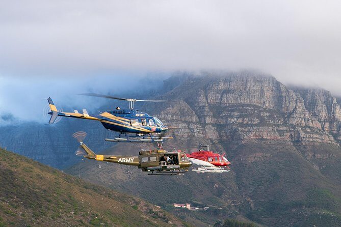 Scenic Cape Point Helicopter Tour from Cape Town - Price and Value: What $518.77 Per Person Actually Buys You