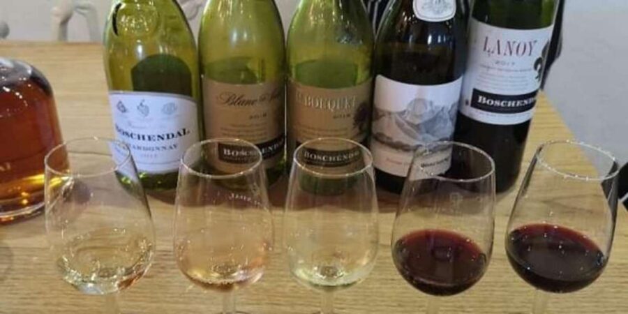 SCHEDULED FRANSCHHOEK WINE TRAM EXPERIENCE (by group size) - The practical details that shape your day