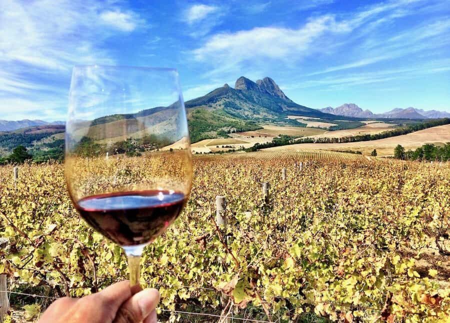 SCHEDULED FRANSCHHOEK WINE TRAM EXPERIENCE (by group size) - FAQ
