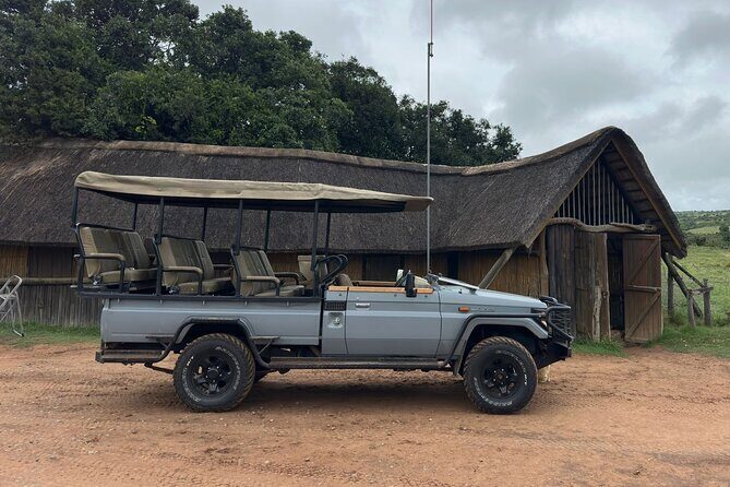 Schotia Game Reserve Tour with Port Pickup, Next to Addo Park - The Schotia Safari Experience: What the Big Five and More Look Like Up Close