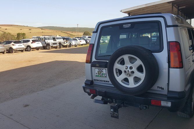 Schotia open vehicle safari game drive maximum 10 pax - Dinner Included: The Practical Finish After Long Wildlife Hours