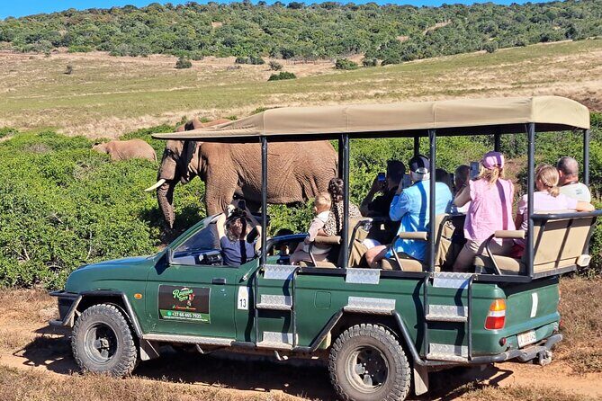 Schotia Private Game African Safari Guided Tour - Pickup from Port Elizabeth: the part that saves your day