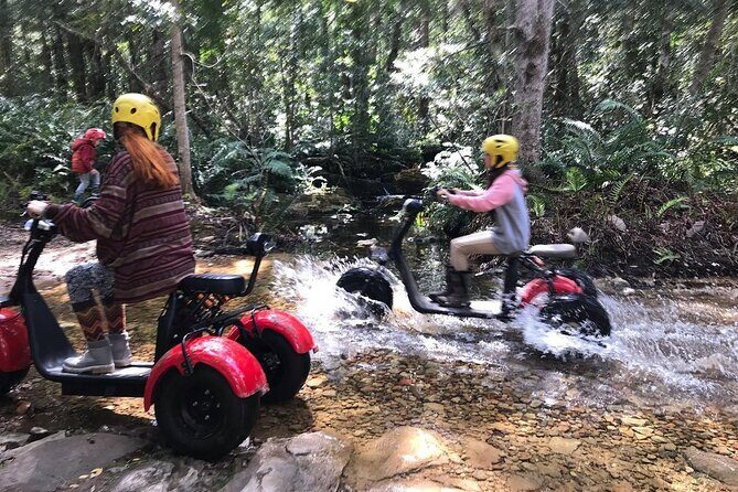 Scooter Tours through Tsitsikamma National Park - Off-road scooter time in Tsitsikamma: the vibe and the value