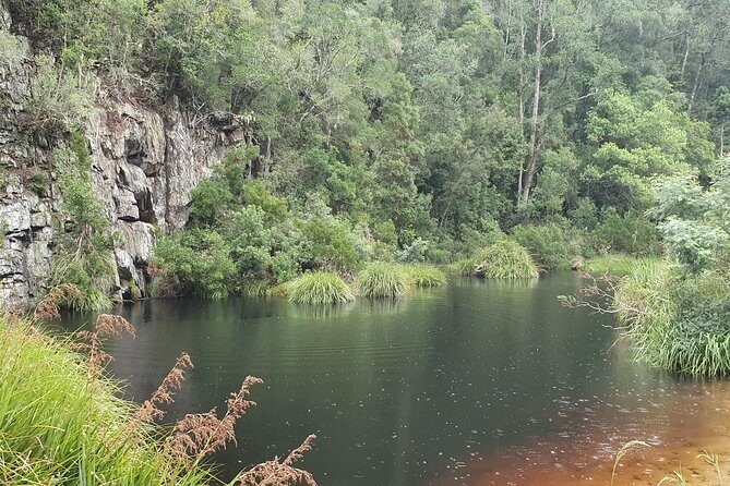 Scooter Tours through Tsitsikamma National Park - Learning local history and reading the forest like a pro