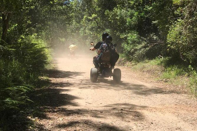 Scooter Tours through Tsitsikamma National Park - Time on the clock: why 1–2 hours works on the Garden Route