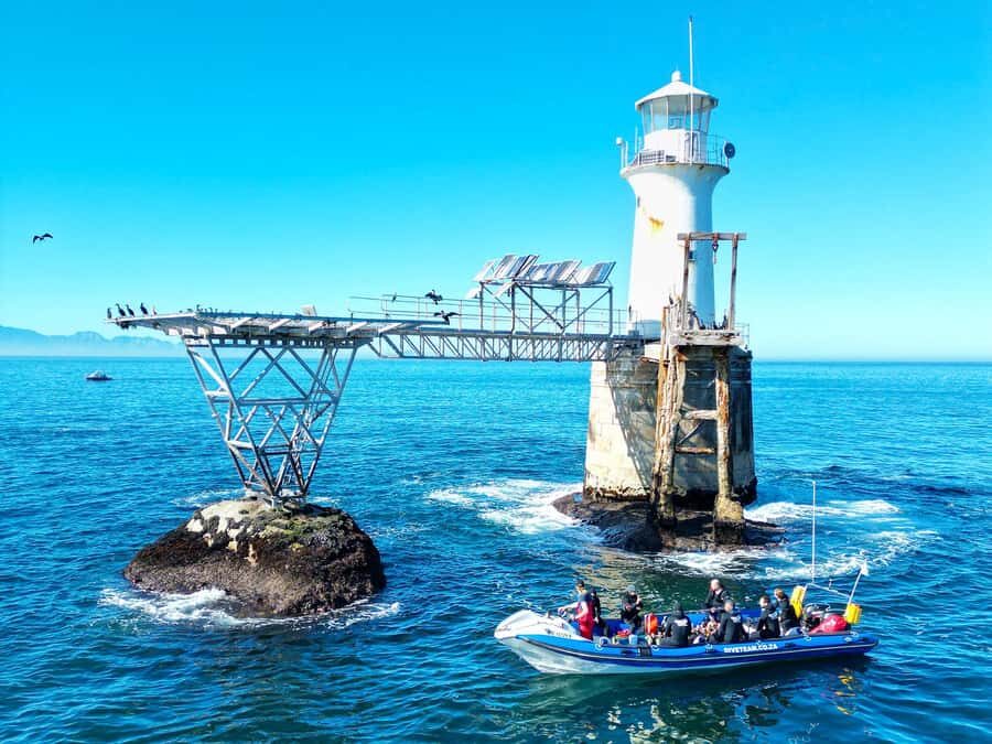 Scuba Dive in Cape Town: 2 Dives for certified divers - The boat ramp stage: a skipper’s safety talk and a smooth transfer