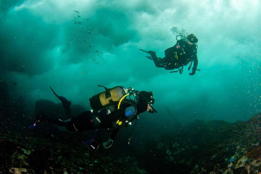 Scuba Dive in Cape Town: 2 Dives for certified divers - First underwater location: colorful reefs or historical shipwrecks