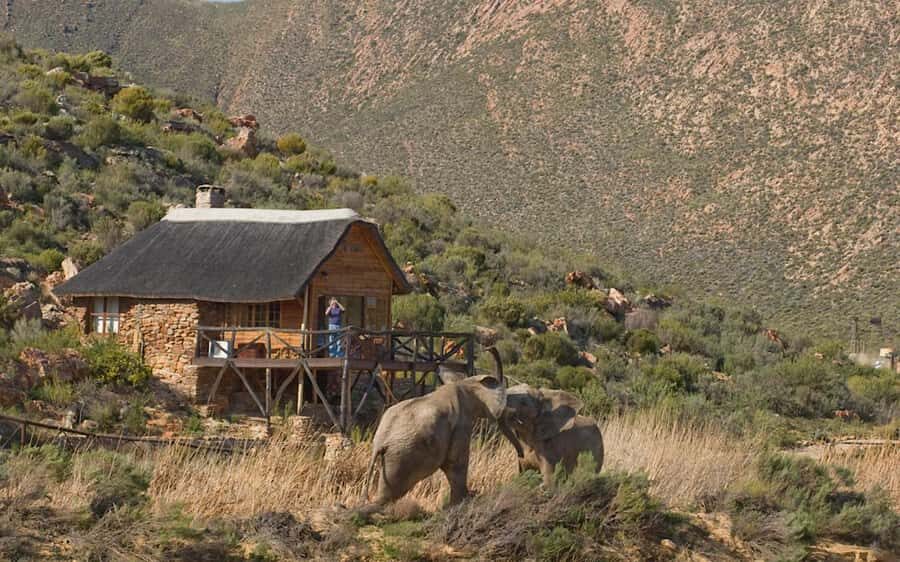 Self drive Aquila Safari Game Reserve Sunset Game Drive - Key things that make Aquila’s sunset drive worth your time