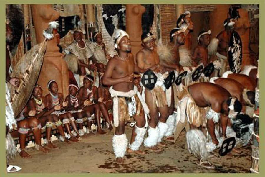 Shakaland and Zulu Culture Full-Day Trip - Price and value: what $218 really covers in an 8-hour day