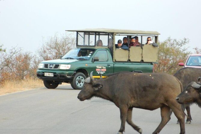 Shared Full Day Guided Safari Tour Visit to Kruger National Park - 5:00am Pickup and Perry’s Bridge Start Point