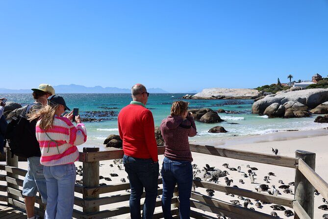 Shared Half Day Tour in Cape Peninsula with African Penguins - Muizenberg Beach and the ride back to Cape Town
