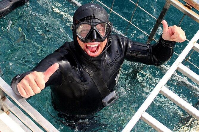 Shark Cage Diving and Viewing with transport from Hermanus - Wildlife beyond sharks: the day isn’t only about one animal