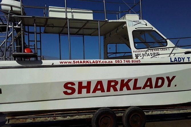 Shark Cage Diving - Who This Shark Cage Experience Fits Best (and Who Might Want Another Option)