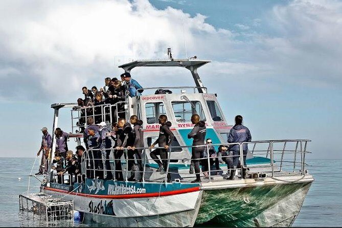 Shark Diving Full Day Guided Return Transfer to Gansbaai from Cape Town - Getting Suited, Getting Briefed, and Managing Boat Motion