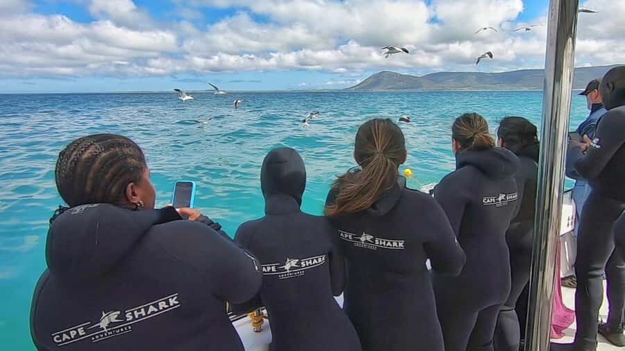 Shark & Whale Trip Combo - The Schedule and Timing: Why Your Day Starts Early and Ends Later Than 3 Hours