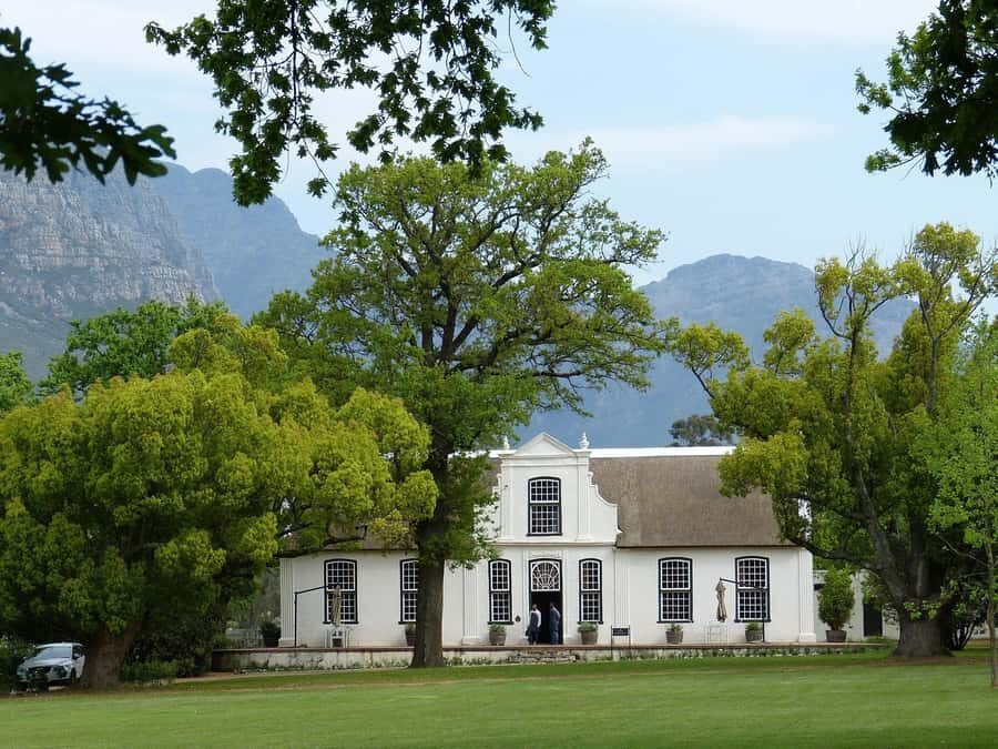 Sip & Savor : A Perfect Half-day Wine Escape to Stellenbosch - Key things that make this half-day special