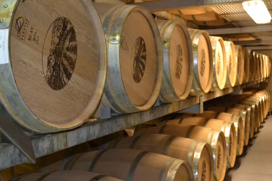 Sip & Savor : A Perfect Half-day Wine Escape to Stellenbosch - Stellenbosch break: oak-lined streets and Cape Dutch charm