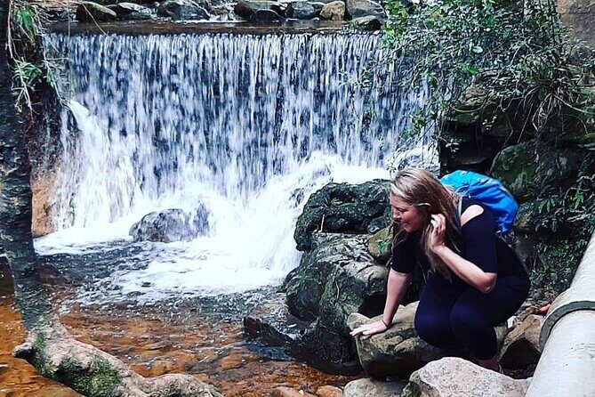 Skeleton Gorge Hike on Table Mountain - Skeleton Gorge Starts in Kirstenbosch: Your 7:00am Cape Town Launchpad