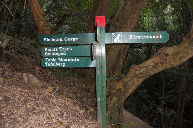 Skeleton Gorge Hike on Table Mountain - What to Pack and How to Prepare for Ladder Sections